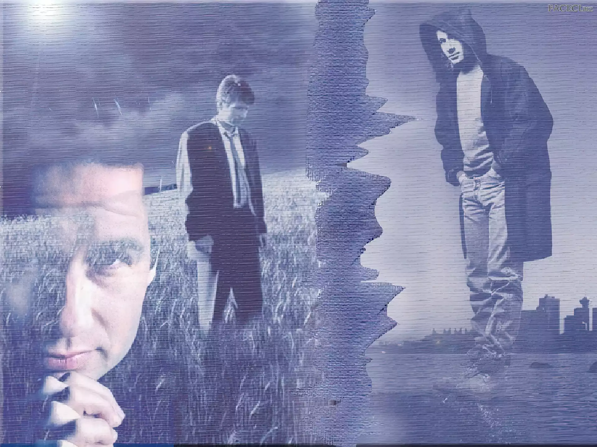 kaptur, David Duchovny, płaszcz